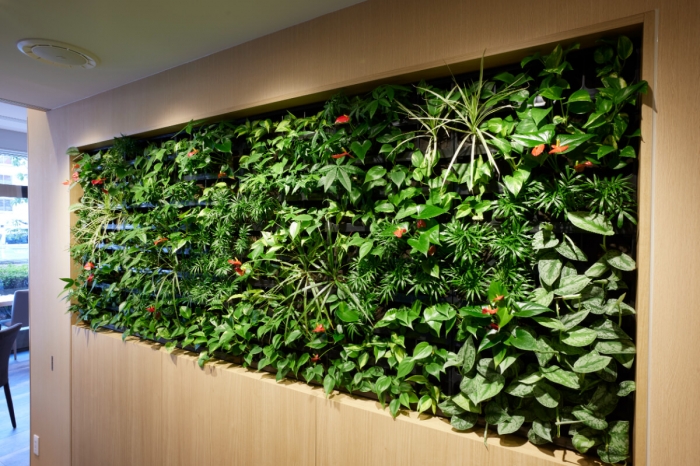 オフィスに緑を取り入れるメリットとは