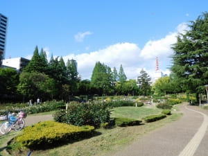 SYNTHブログを更新しました(ビジネス街と公園)