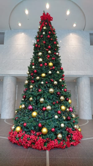 ＳＹＮＴＨブログ更新しました！（アクシスビルロビーにクリスマスツリーが登場しました！）