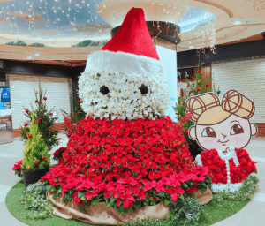 SYNTHブログを更新しました！(ドーチカもクリスマスムードに♪巨大フラワースノーマンが登場しました‼)