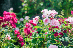 SYNTHブログを更新しました（堂島周辺街歩きレポート②）