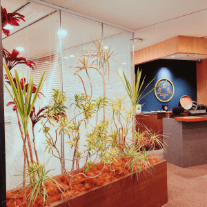 SYNTHブログを更新しました（新しい植物がSYNTHにやってきました！part4）