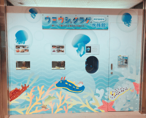SYNTHブログを更新しました（ドーチカに期間限定の水族館が登場！）