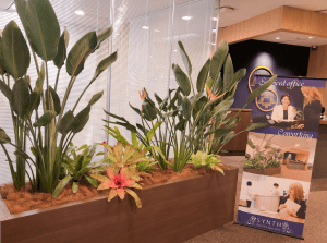 SYNTHブログを更新しました（新しい植物がSYNTHにやってきました！part7）