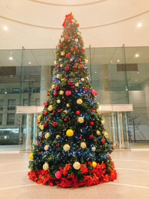 【SYNTH(シンス)堂島ブログ】を更新しました（クリスマスツリー設置しました♪）