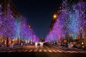 【SYNTH(シンス)インターン生ブログ】第6弾　淀屋橋・中之島　オススメクリスマススポット