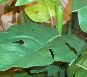 SYTNTH四日市ブログを更新しました