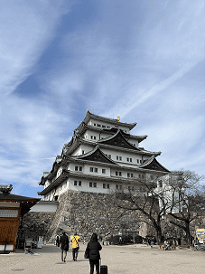 【SYNTH(シンス)インターン生ブログ】更新しました。～新インターン生の紹介～