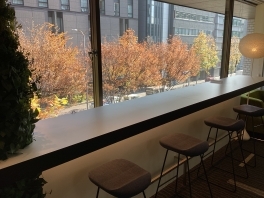 【SYNTH(シンス)メッシュ京都四条烏丸ブログ】更新しました～SYNTHメッシュ京都の紅葉～