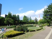 SYNTHブログを更新しました(ビジネス街と公園)