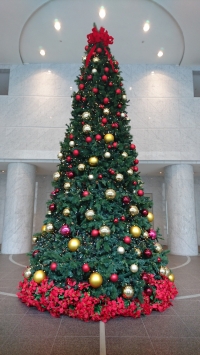 ＳＹＮＴＨブログ更新しました！（アクシスビルロビーにクリスマスツリーが登場しました！）