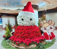 SYNTHブログを更新しました！(ドーチカもクリスマスムードに♪巨大フラワースノーマンが登場しました‼)