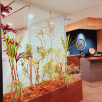 SYNTHブログを更新しました（新しい植物がSYNTHにやってきました！part4）