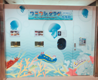 SYNTHブログを更新しました（ドーチカに期間限定の水族館が登場！）