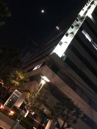 SYNTHブログを更新しました！(堂島アクシスビルについてご紹介いたします！)