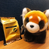 SYNTH四日市ブログを更新しました（期間限定ドリンクのご紹介）