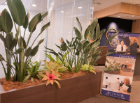 SYNTHブログを更新しました（新しい植物がSYNTHにやってきました！part7）