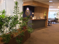 【SYNTH(シンス)堂島ブログ】を更新しました（新しい植物がSYNTH(シンス)にやってきました！part 12）