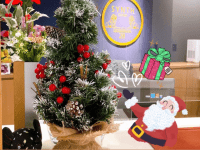 【SYNTH(シンス)堂島ブログ】を更新しました（クリスマスツリー設置しました♪）