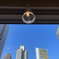 【SYNTH(シンス)インターン生ブログ】を更新しました（私が見たレンズ越しの景色）