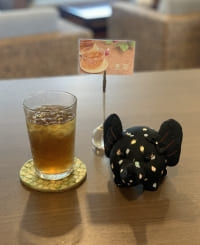 【SYNTH(シンス)堂島ブログ】を更新しました（夏季限定ドリンクの提供を開始しました！）