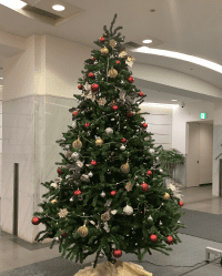 SYNTH(シンス)北浜ブログを更新しました！