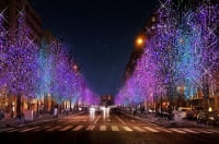 【SYNTH(シンス)インターン生ブログ】第6弾　淀屋橋・中之島　オススメクリスマススポット