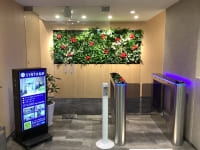 【SYNTH(シンス)インターン生ブログ】新しい植物がSYNTH(シンス)北浜にやってきました!