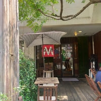 【SYNTH(シンス)インターン生ブログ】本町グルメレポート 第Ⅵ弾 イタリアン料理 QT8 オステリア クティオット