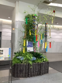 【SYNTH（シンス）北浜ブログ】を更新しました！七夕イベントのご紹介☆