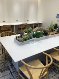 【SYNTH(シンス)北浜ブログ】を更新しました!北浜でも本町でもH1Tが使えます!