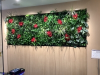 【SYNTH（シンス）北浜ブログ】を更新しました！壁面緑化の植物が新しくなりました！