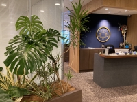 【SYNTH(シンス)堂島ブログ】新緑の季節となりました！