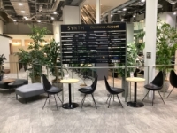 【SYNTH（シンス）インターン生ブログ】インターン生自己紹介