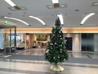 【SYNTH（シンス）北浜ブログ】クリスマスシーズンがやってきました♪