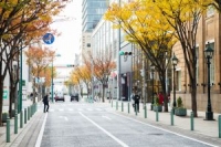 【SYNTH(シンス)ELK神戸ブログ】更新のお知らせ～神戸旧居留地～