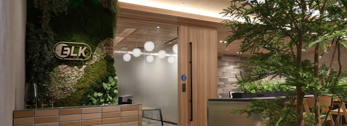 WORKING SWITCH ELK × SYNTH KOBE